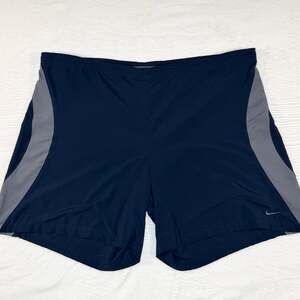 Vintage Nike Dri-Fit Running Mens XL Blue/Gray Performance Lined Athletic Shorts